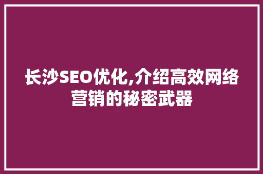 长沙SEO优化,介绍高效网络营销的秘密武器