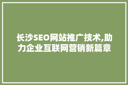 长沙SEO网站推广技术,助力企业互联网营销新篇章