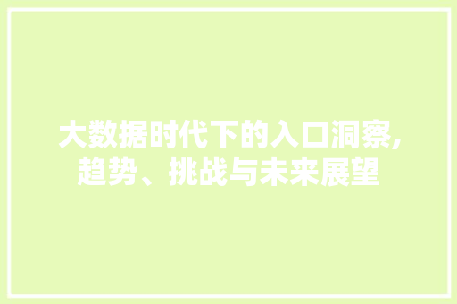 大数据时代下的入口洞察,趋势、挑战与未来展望