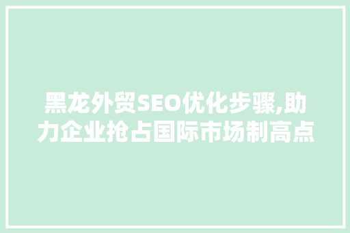 黑龙外贸SEO优化步骤,助力企业抢占国际市场制高点