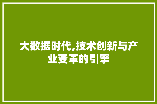 大数据时代,技术创新与产业变革的引擎 市场营销范文
