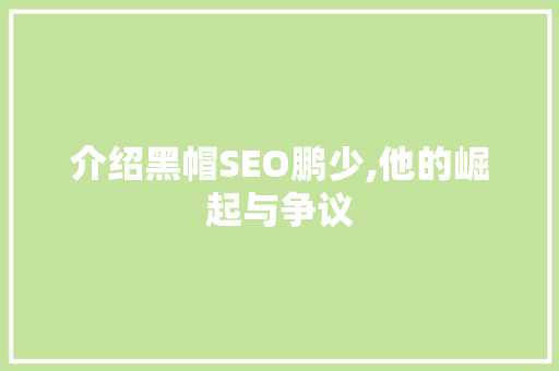 介绍黑帽SEO鹏少,他的崛起与争议
