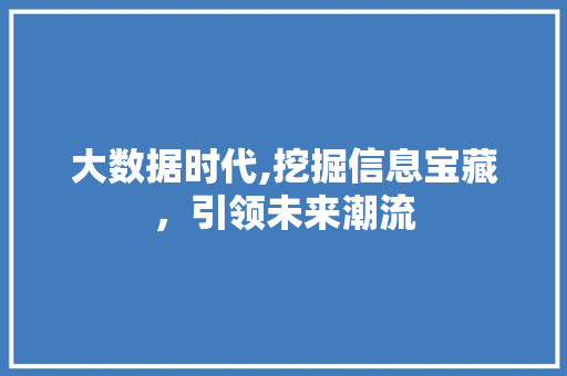 大数据时代,挖掘信息宝藏，引领未来潮流 缓存Redis