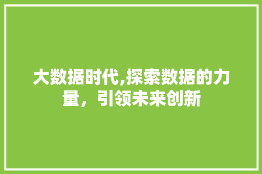 大数据时代,探索数据的力量，引领未来创新 响应式设计