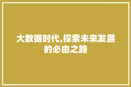 大数据时代,探索未来发展的必由之路 后端技术