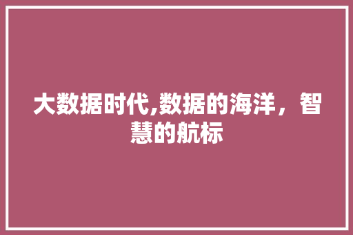 大数据时代,数据的海洋，智慧的航标 商务信函