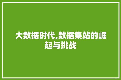 大数据时代,数据集站的崛起与挑战 项目报告