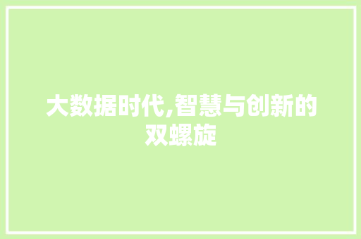 大数据时代,智慧与创新的双螺旋 前端技术