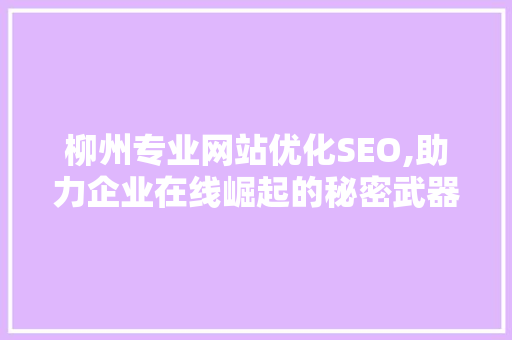 柳州专业网站优化SEO,助力企业在线崛起的秘密武器