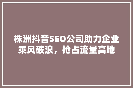株洲抖音SEO公司助力企业乘风破浪，抢占流量高地