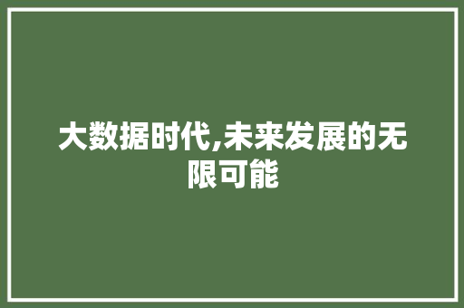 大数据时代,未来发展的无限可能 网站建设