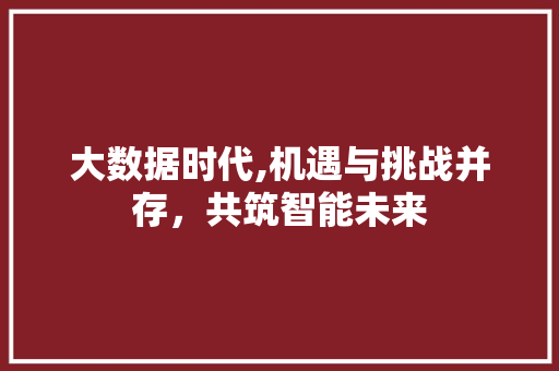 大数据时代,机遇与挑战并存，共筑智能未来 市场营销范文