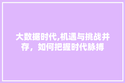 大数据时代,机遇与挑战并存，如何把握时代脉搏 后端技术