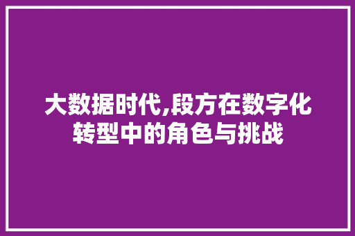 大数据时代,段方在数字化转型中的角色与挑战 项目报告
