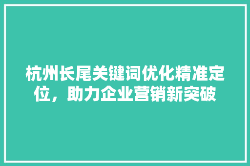 杭州长尾关键词优化精准定位，助力企业营销新突破