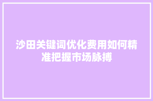 沙田关键词优化费用如何精准把握市场脉搏
