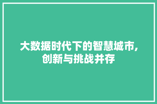 大数据时代下的智慧城市,创新与挑战并存 网站建设