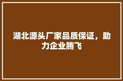湖北源头厂家品质保证，助力企业腾飞