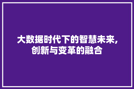 大数据时代下的智慧未来,创新与变革的融合 网站建设