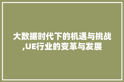 大数据时代下的机遇与挑战,UE行业的变革与发展 缓存Redis