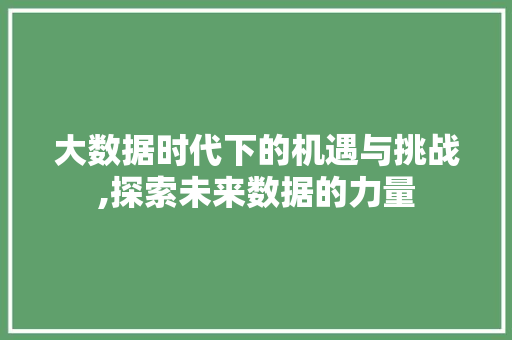 大数据时代下的机遇与挑战,探索未来数据的力量 MySQL