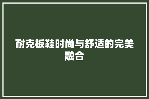 耐克板鞋时尚与舒适的完美融合