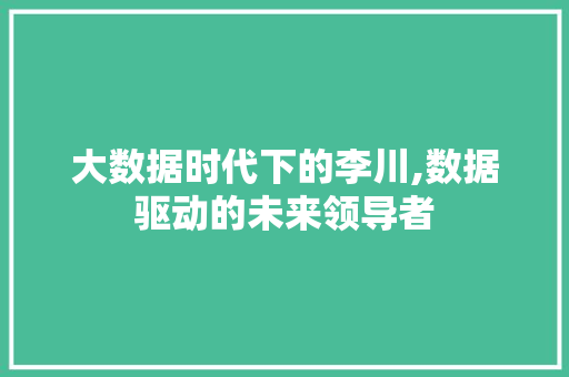 大数据时代下的李川,数据驱动的未来领导者