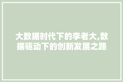 大数据时代下的李老大,数据驱动下的创新发展之路 网站建设