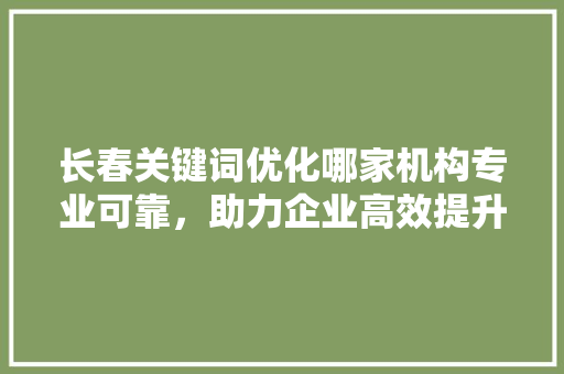 长春关键词优化哪家机构专业可靠，助力企业高效提升排名