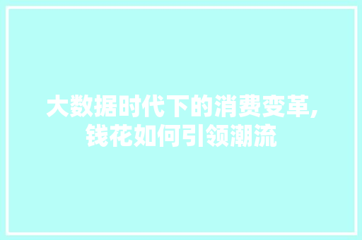 大数据时代下的消费变革,钱花如何引领潮流 项目报告