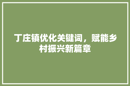丁庄镇优化关键词，赋能乡村振兴新篇章