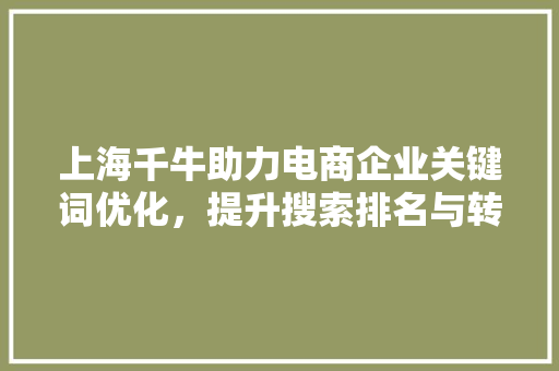 上海千牛助力电商企业关键词优化，提升搜索排名与转化率