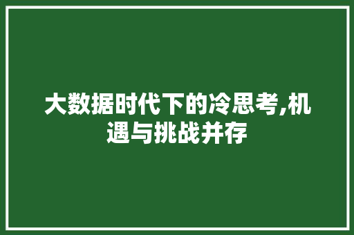 大数据时代下的冷思考,机遇与挑战并存 前端技术