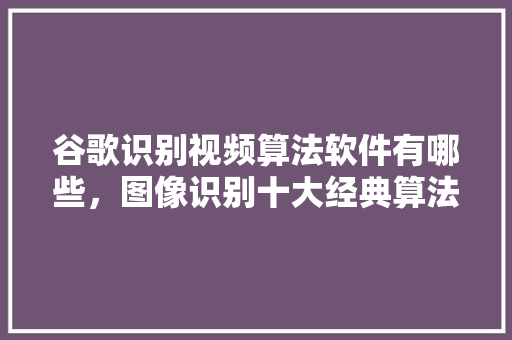 谷歌识别视频算法软件有哪些，图像识别十大经典算法