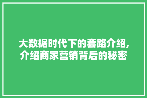 大数据时代下的套路介绍,介绍商家营销背后的秘密 缓存Redis