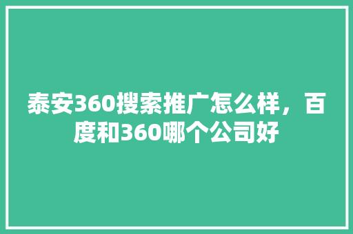 泰安360搜索推广怎么样，百度和360哪个公司好