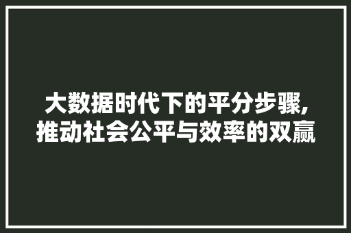 大数据时代下的平分步骤,推动社会公平与效率的双赢