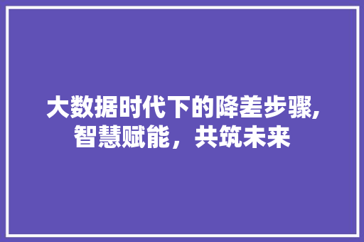 大数据时代下的降差步骤,智慧赋能，共筑未来 网站建设
