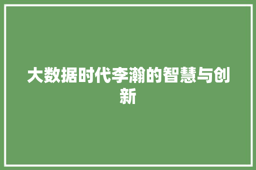 大数据时代李瀚的智慧与创新 网站建设