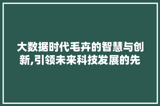 大数据时代毛卉的智慧与创新,引领未来科技发展的先锋 商务信函