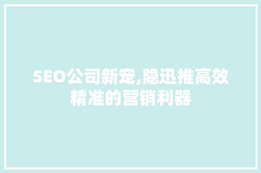 SEO公司新宠,隐迅推高效精准的营销利器