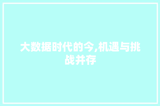 大数据时代的今,机遇与挑战并存 前端技术