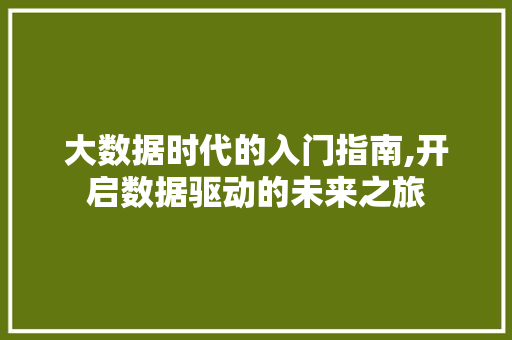 大数据时代的入门指南,开启数据驱动的未来之旅 响应式设计