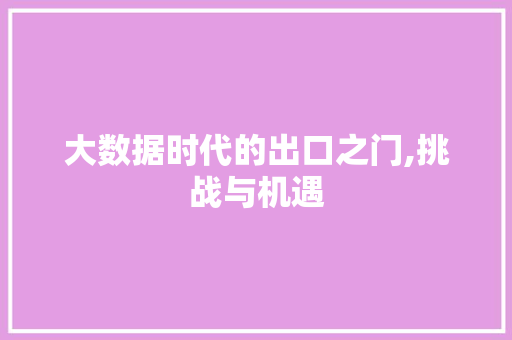 大数据时代的出口之门,挑战与机遇