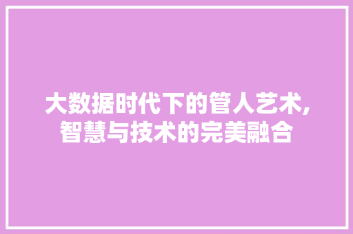 大数据时代下的管人艺术,智慧与技术的完美融合 缓存Redis