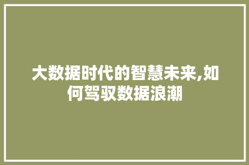 大数据时代的智慧未来,如何驾驭数据浪潮 MySQL