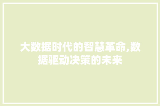 大数据时代的智慧革命,数据驱动决策的未来 缓存Redis