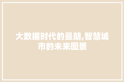 大数据时代的曼朗,智慧城市的未来图景 市场营销范文