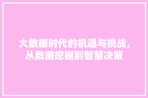 大数据时代的机遇与挑战,从数据挖掘到智慧决策 前端技术