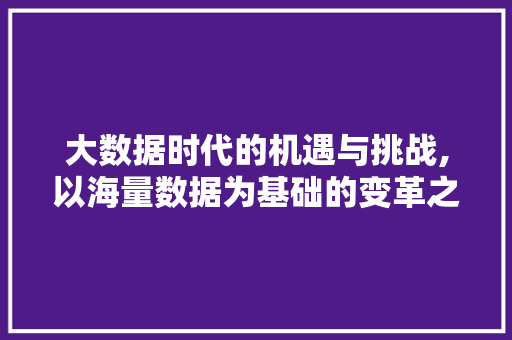 大数据时代的机遇与挑战,以海量数据为基础的变革之路 市场营销范文